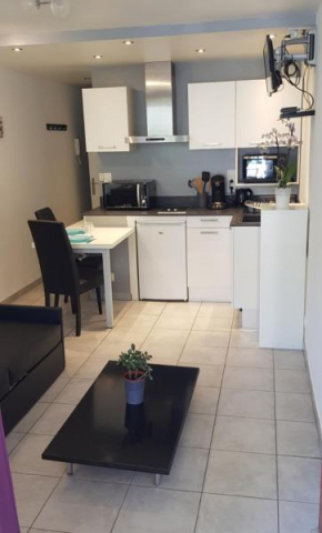 Charmant studio 2* rdc+ terrasse & parking privé Aix-Les-Bains